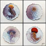 4 Jellyfish Coasters