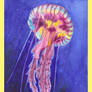 Jellyfish