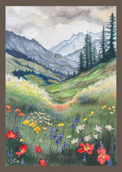 Alpine Meadow