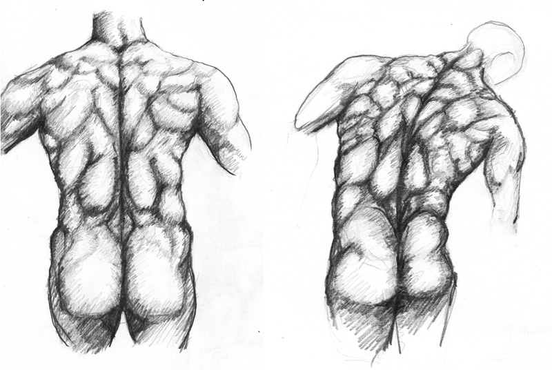 back study