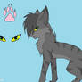 warrior cats oc sharpclaw (shadowclan)