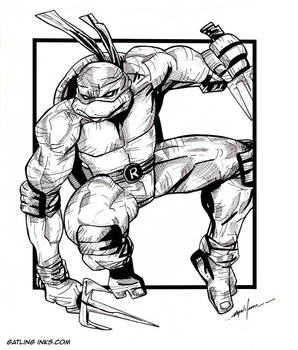 Raphael TMNT