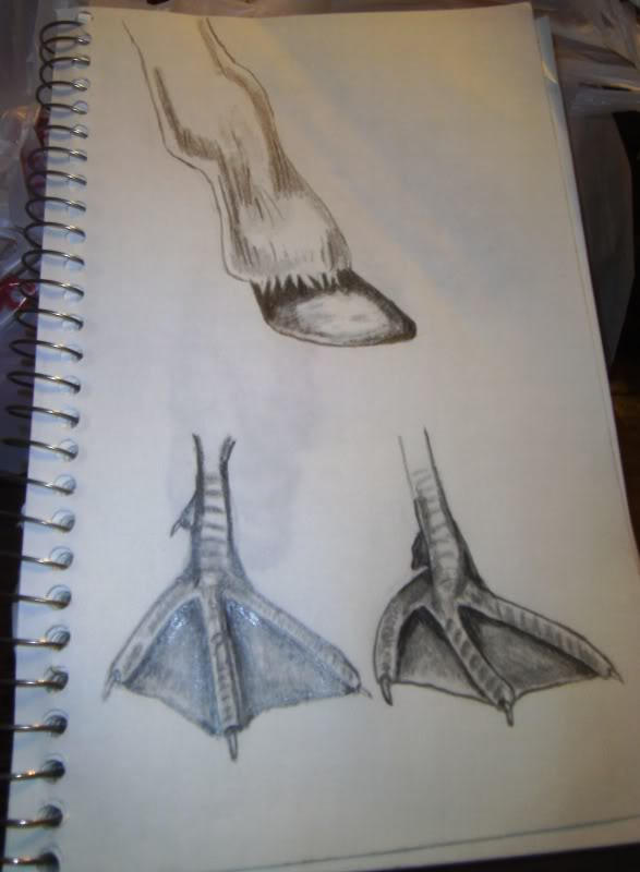 Drawing Duck feet and horse hoofpencil by BoarderMiah on DeviantArt