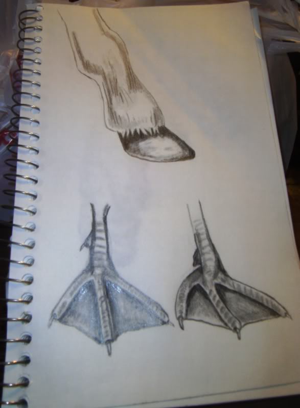 Drawing Duck Feet And Horse Hoof Pencil By Boardermiah On Deviantart Drawing Duck Feet And Horse Hoof Pencil By Boardermiah On Deviantart