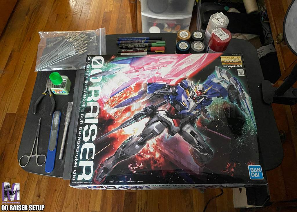 00 Raiser Setup by MTLs-Imaging on DeviantArt