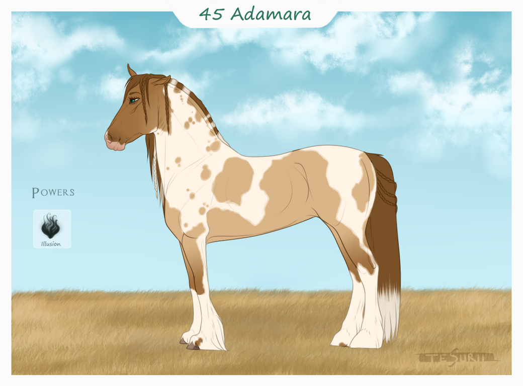 Adamara 45 Adamara by Tesurii on DeviantArt