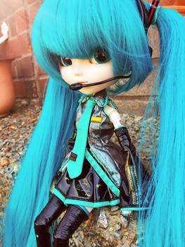 Pullip: Miku