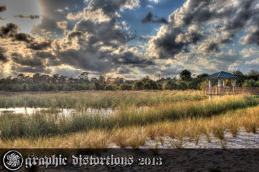 HDR of the wetlands near my house