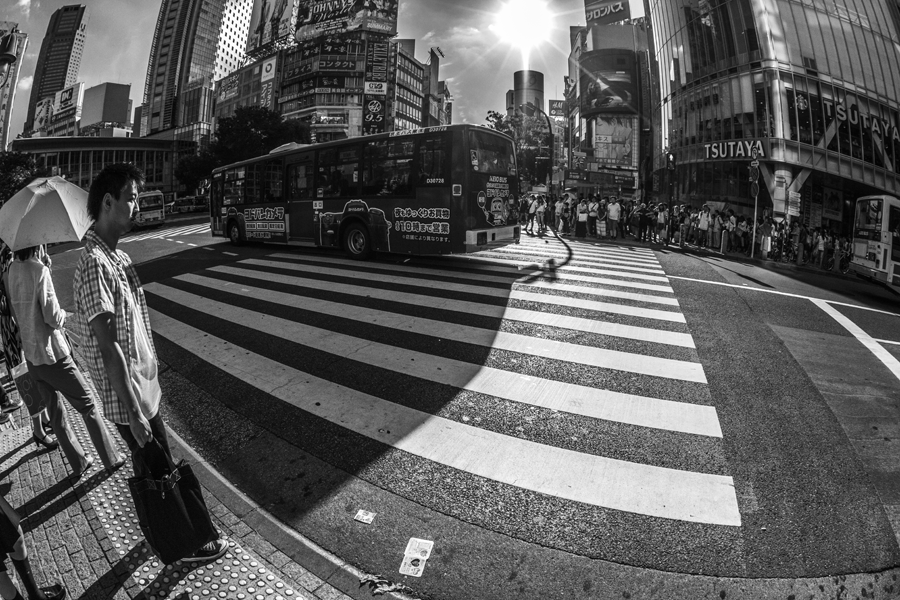 Shibuya Crosswalk