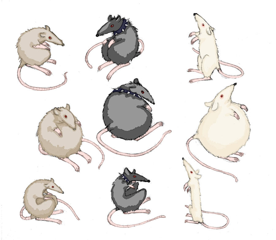 Rat Deviantart Rats 01 by JohnnySilverhand on DeviantArt