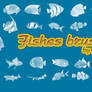 Fishes brushes
