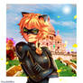 Miraculous Snapshots - Chat Noir