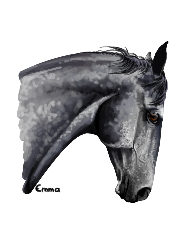 Speedpaint - Gray Horse