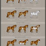 HORSE COLOR CHART - Patterns *UPDATED*