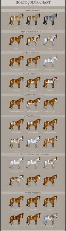 HORSE COLOR CHART - Patterns *UPDATED*