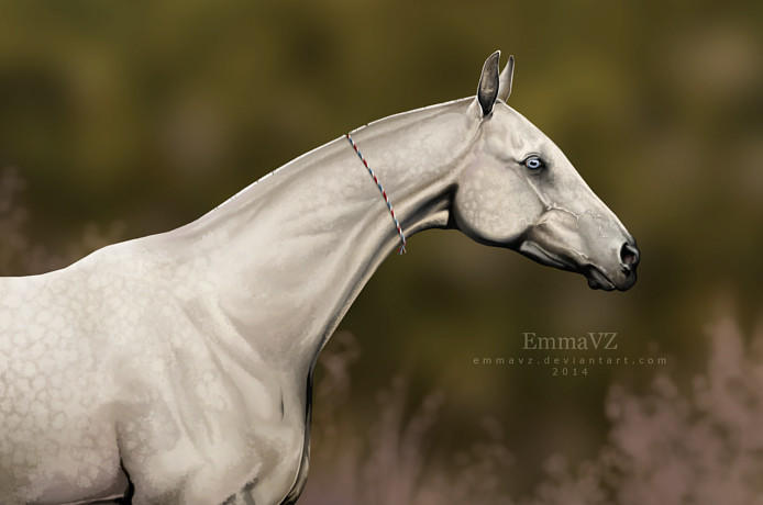 Shiny White by EmmaVZ