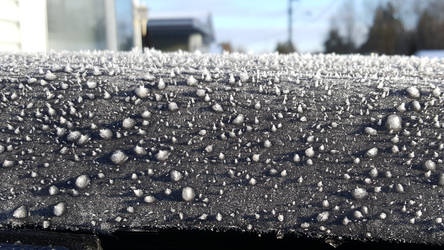 frozen rain drops 