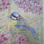 Watercolour Blue Tit