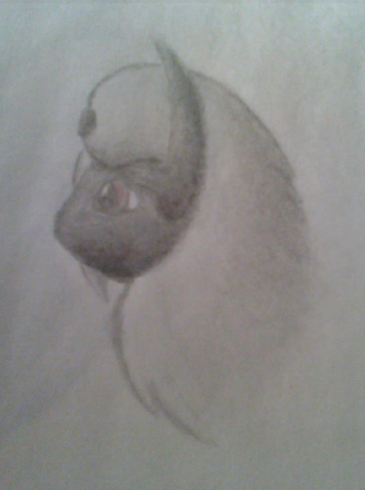 Absol head Drawing by Gusteon on DeviantArt