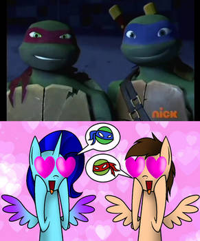 Pegasisters Fangirls of the Turtles