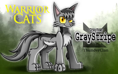 Warrior Cats: Graypaw/GrayStripe