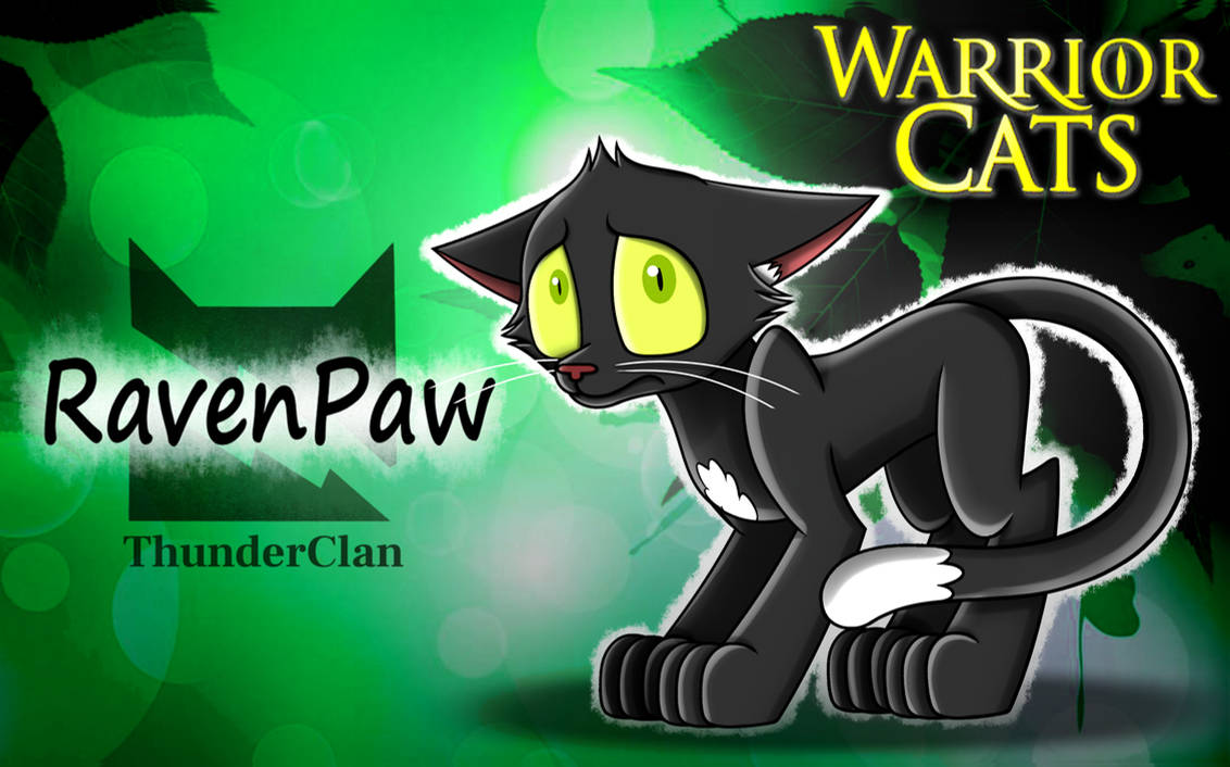 Ravenpaw by weak-punk on DeviantArt  Warrior cats art, Warrior cats books, Warrior  cats series