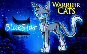 Warrior Cats: BlueStar