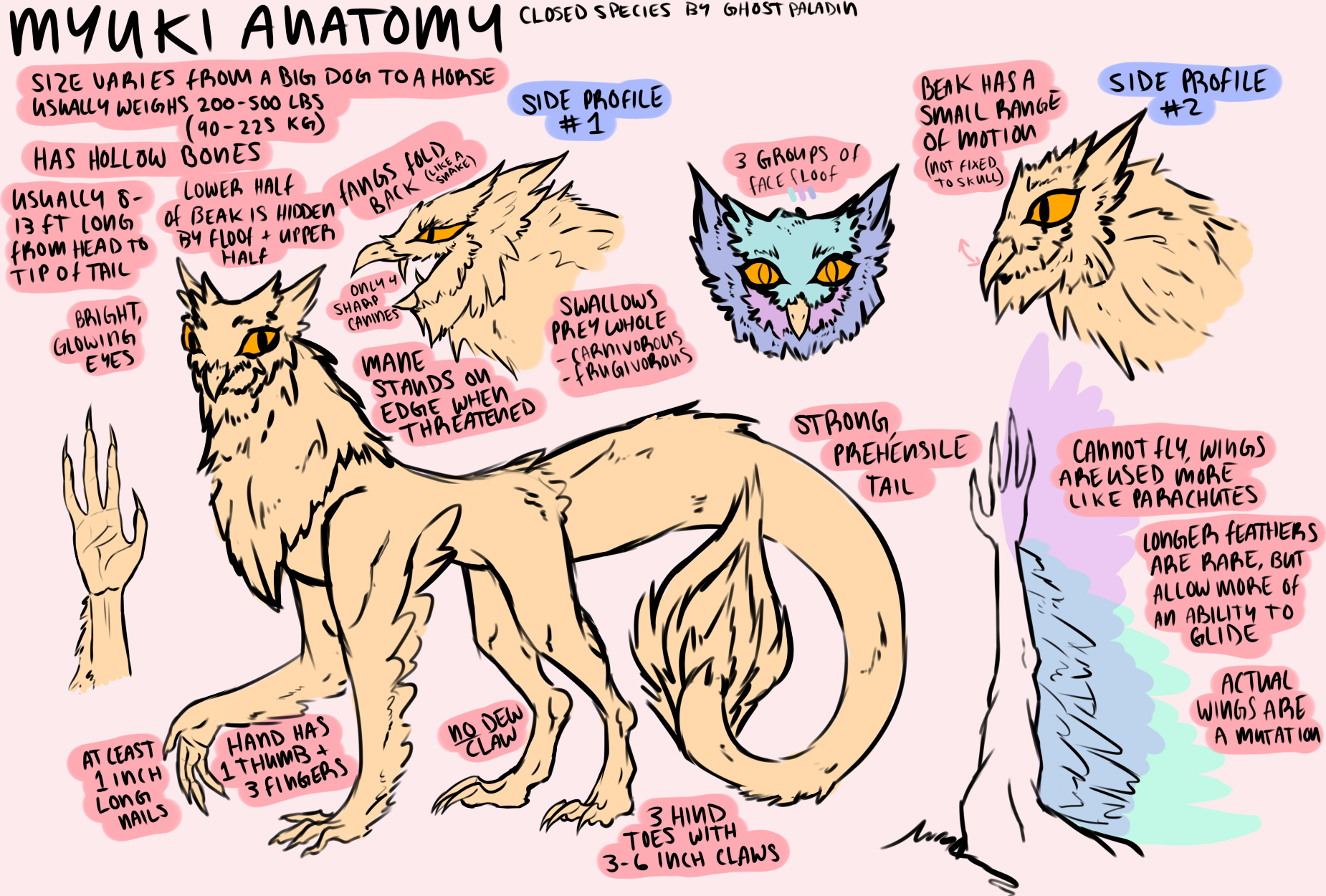 Myuki Anatomy Sheet