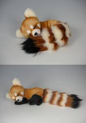 Sleepy Red Panda