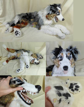 Lifesize Australian Shepherd Plush