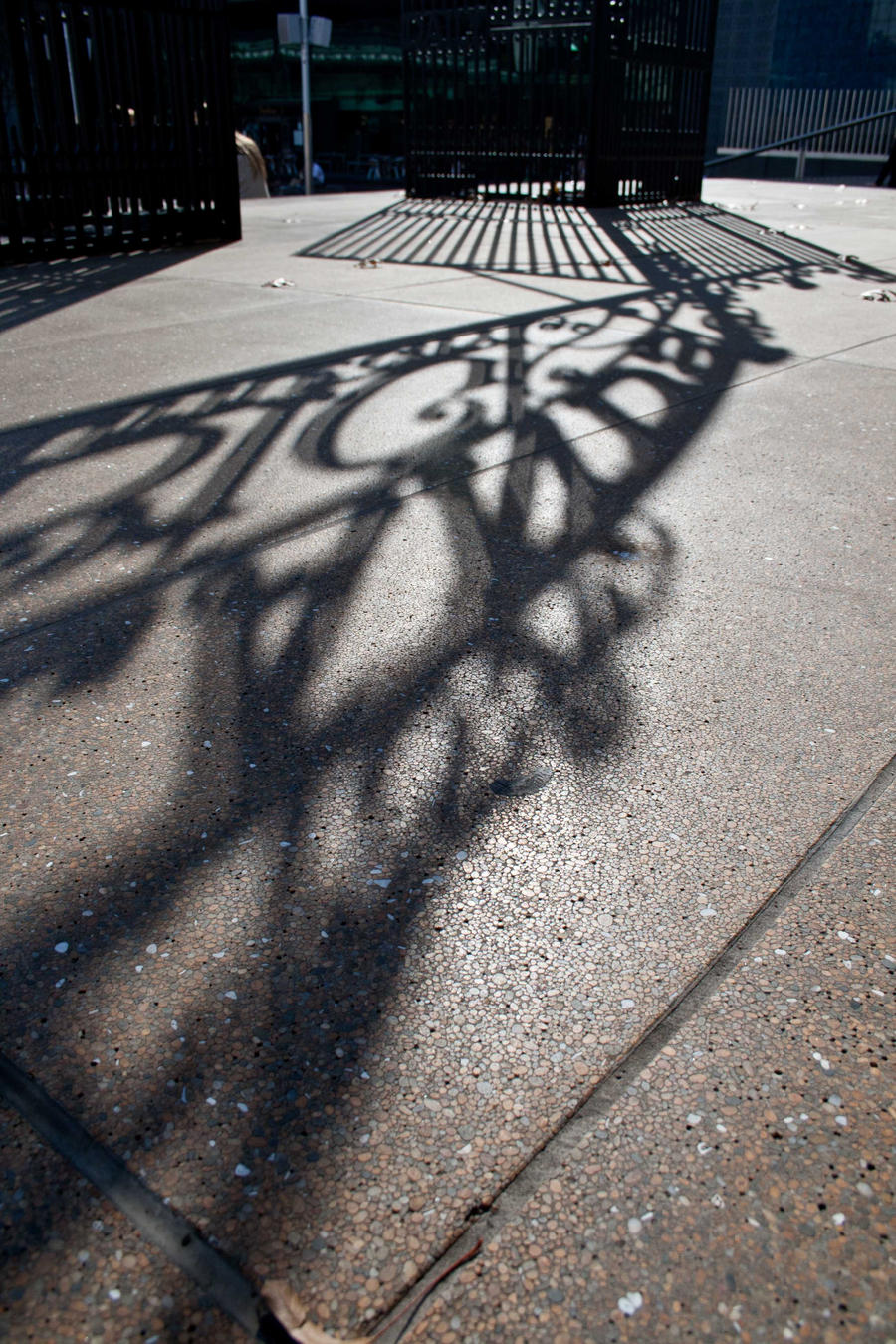 Afternoon Shadow