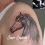 Horse Tattoo By Omer Omurlu