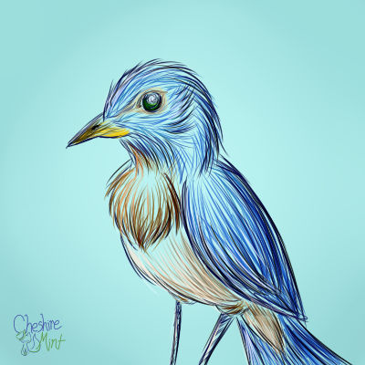Deviantart Bird Designs Bird by CheshireMint on DeviantArt