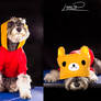 The sportsdog: Penny Plush!