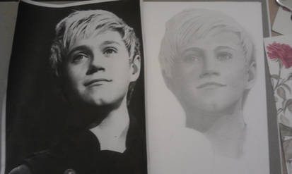 Niall Horan WIP