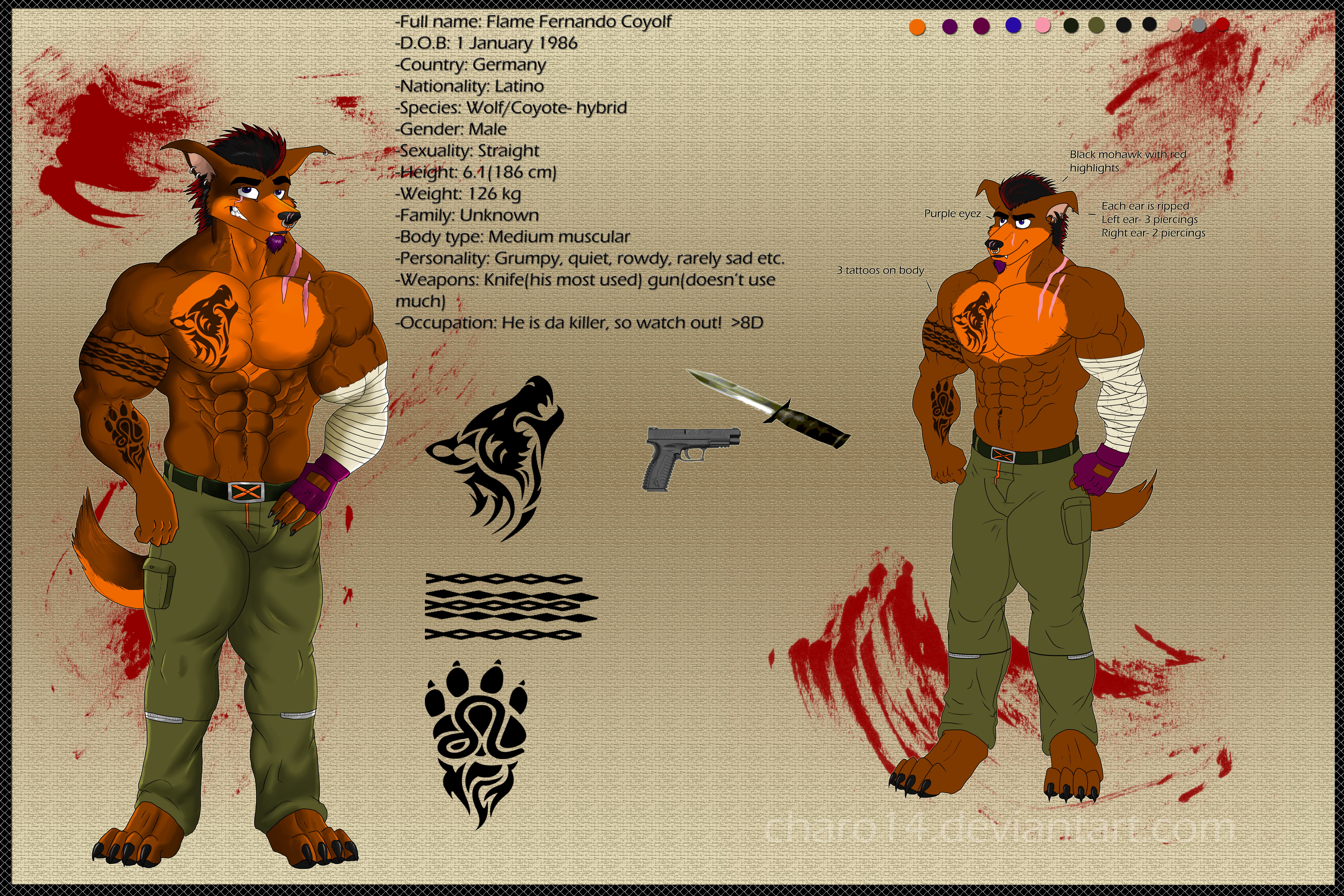 Flame reference sheet 2012