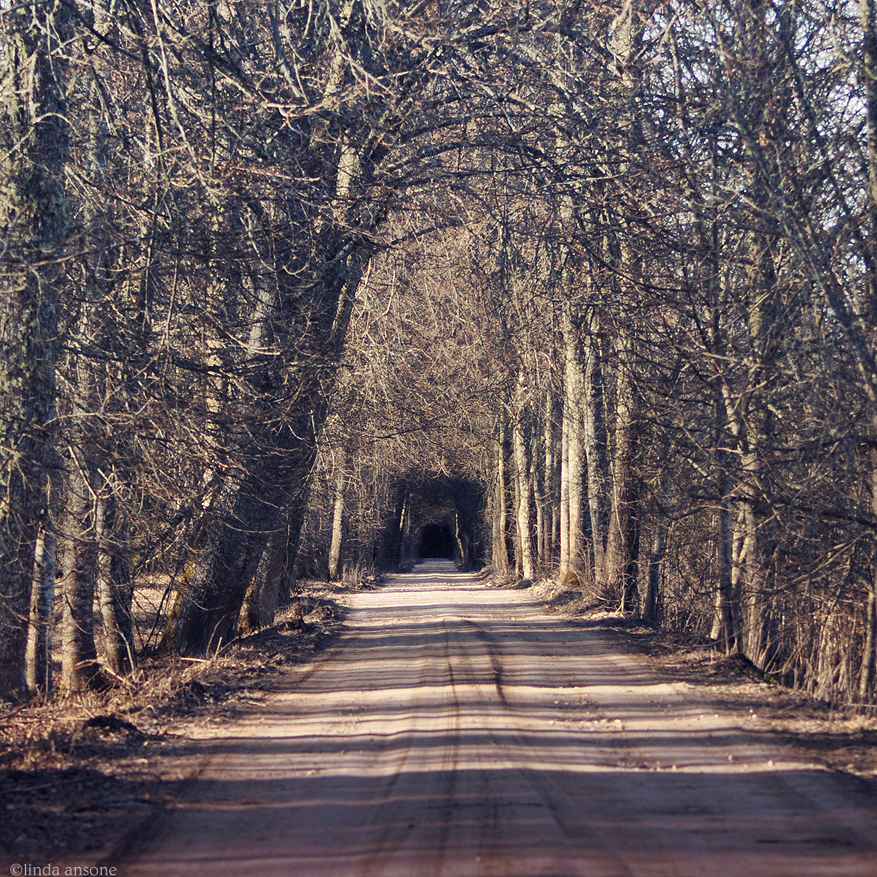 Halls Of Slumbering Trees