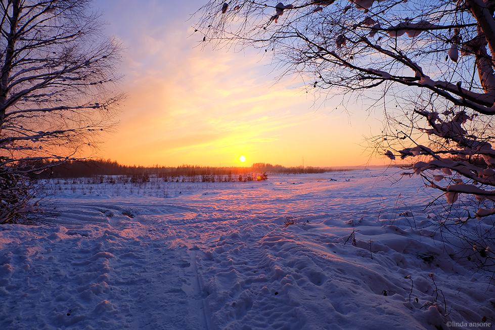 Snowed In Peat Fields