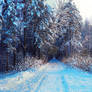 Winterscape II