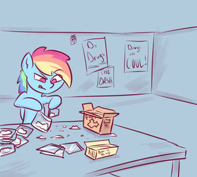 CSI Pony Drug Business