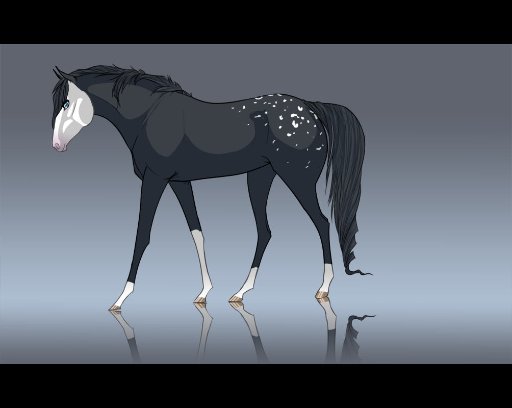 Bald Faced Snowflake Appaloosa By Kimptone On Deviantart Bald Faced Snowflake Appaloosa By Kimptone On Deviantart