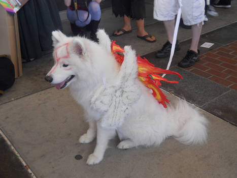 Amaterasu