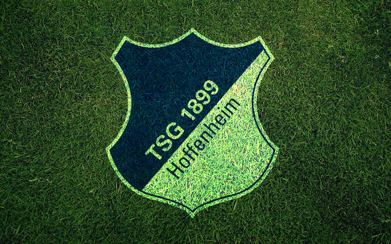 TSG 1899 Hoffenheim