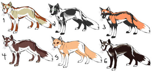 Fox Adoptables