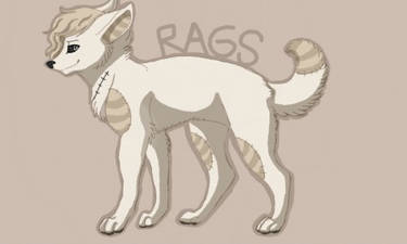 Rags ref