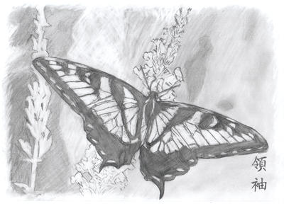 Earthborn Flutterby Earthborn - 4 by tornlord on DeviantArt