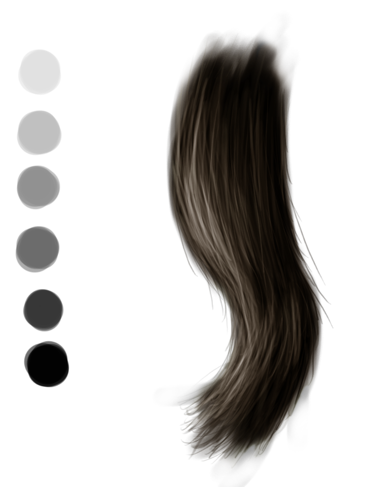 Hair sample study