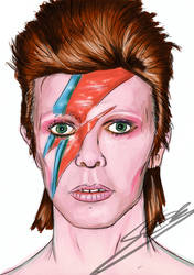 Aladdin Sane Portrait