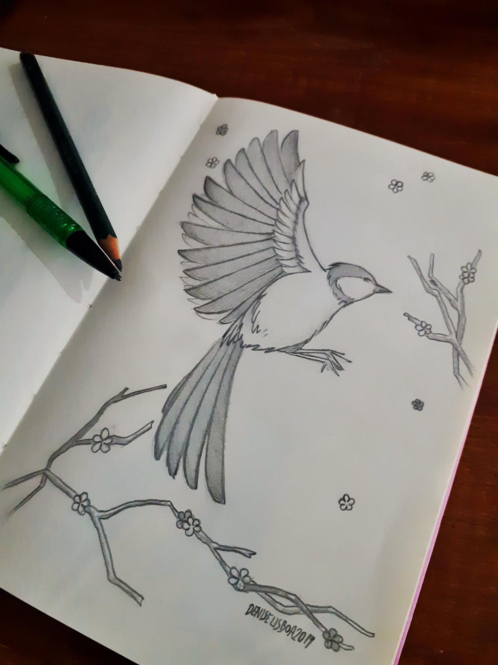 Bird by Chefia-64 on DeviantArt
