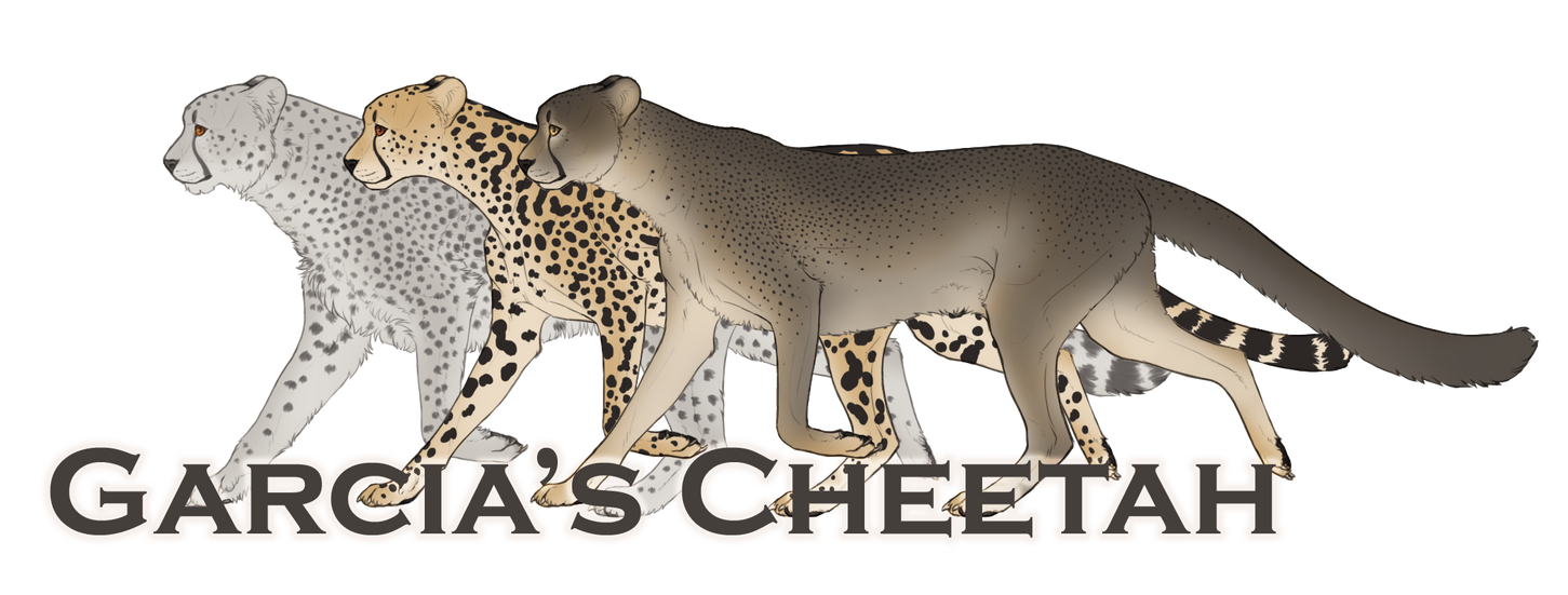 Garcia's Cheetahs